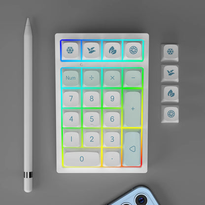 YUNZII YZ21 RGB 21 Keys Wired&Wireless Hot Swappable Mechanical Mini Numpad Gaming Numeric Keypad