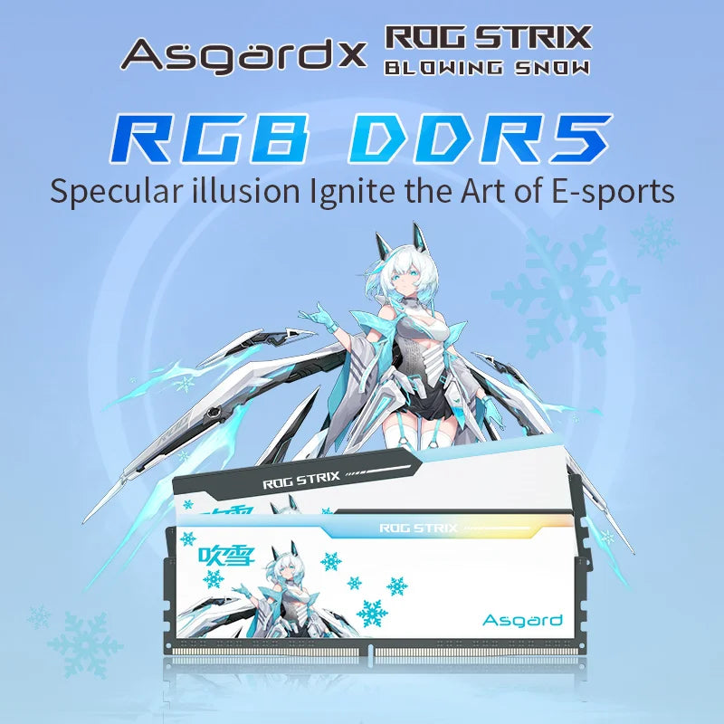 Gaming Memory Asgard DDR5